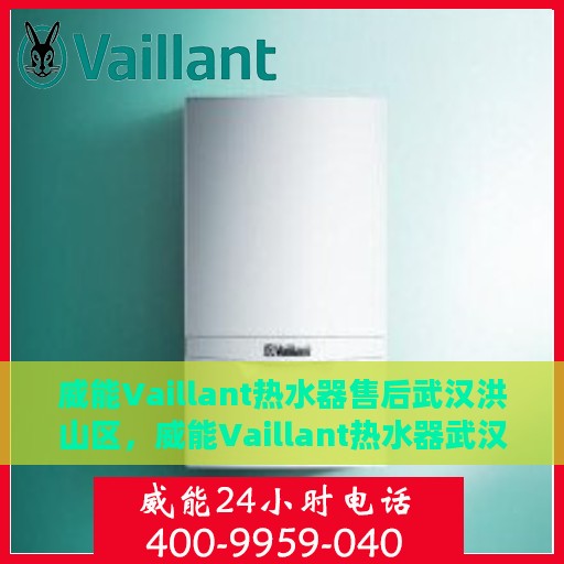 威能Vaillant热水器售后武汉洪山区，威能Vaillant热水器武汉洪山区售后维修服务解析