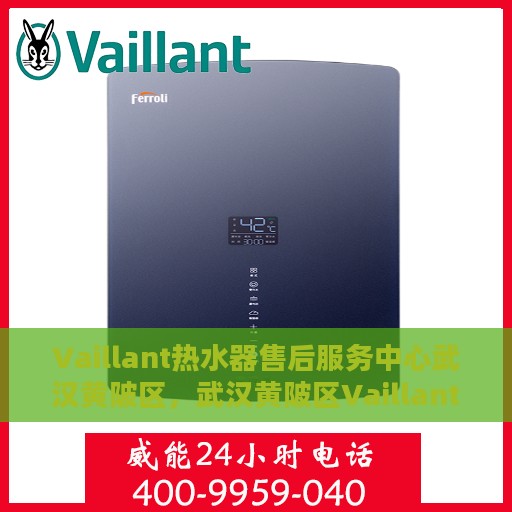 Vaillant热水器售后服务中心武汉黄陂区，武汉黄陂区Vaillant热水器售后服务中心专业服务团队
