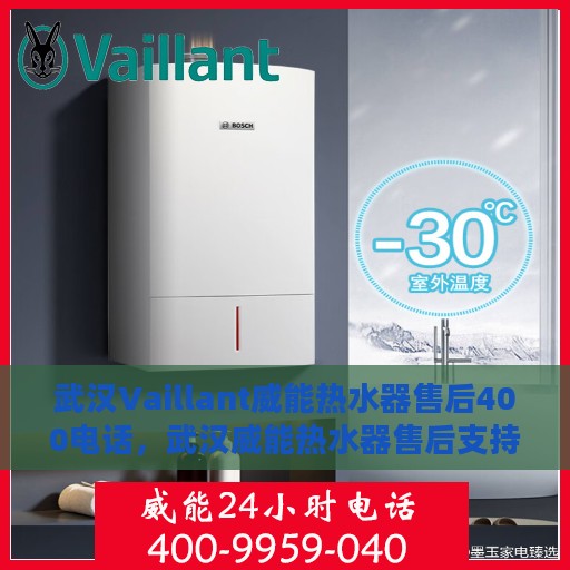 武汉Vaillant威能热水器售后400电话，武汉威能热水器售后支持热线，专业维修与服务团队为您服务