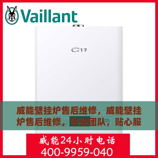 威能壁挂炉售后维修，威能壁挂炉售后维修，专业团队，贴心服务