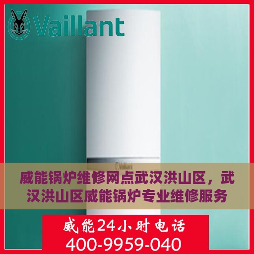 威能锅炉维修网点武汉洪山区，武汉洪山区威能锅炉专业维修服务网点