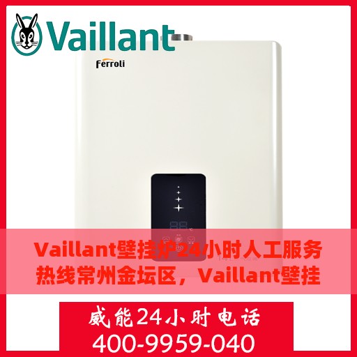 Vaillant壁挂炉24小时人工服务热线常州金坛区，Vaillant壁挂炉常州金坛区服务热线，全天候人工支持，温暖您的生活