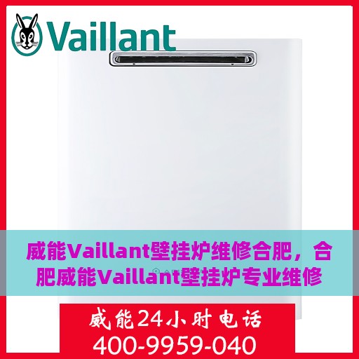 威能Vaillant壁挂炉维修合肥，合肥威能Vaillant壁挂炉专业维修服务