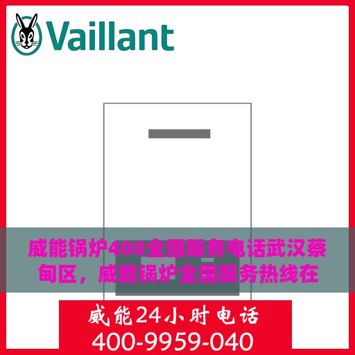 威能锅炉400全国服务电话武汉蔡甸区，威能锅炉全国服务热线在武汉蔡甸区的贴心服务体验
