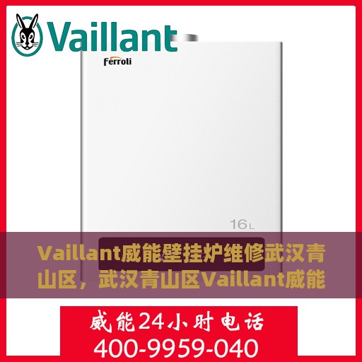 Vaillant威能壁挂炉维修武汉青山区，武汉青山区Vaillant威能壁挂炉专业维修服务