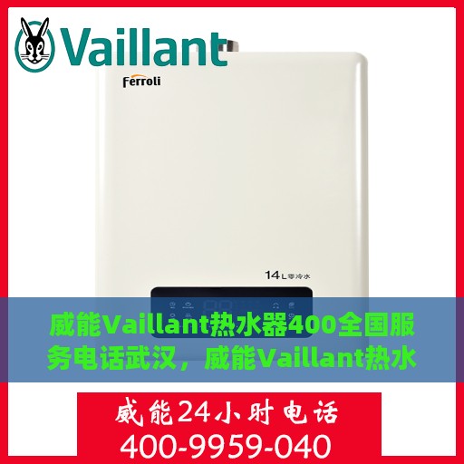 威能Vaillant热水器400全国服务电话武汉，威能Vaillant热水器全国服务热线400在武汉的专业支持团队