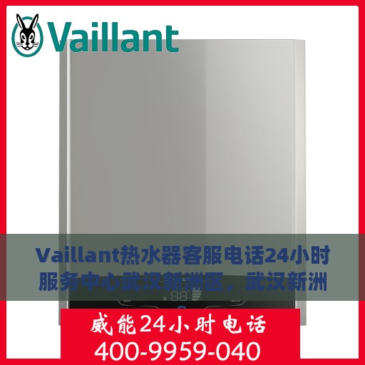 Vaillant热水器客服电话24小时服务中心武汉新洲区，武汉新洲区Vaillant热水器全天候客服支持热线，专业维修服务团队为您排忧解难