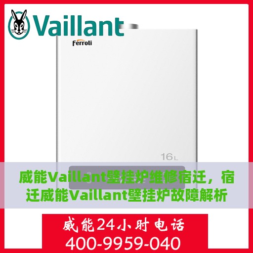 威能Vaillant壁挂炉维修宿迁，宿迁威能Vaillant壁挂炉故障解析与快速维修指南