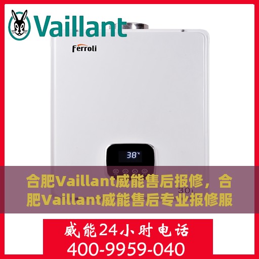 合肥Vaillant威能售后报修，合肥Vaillant威能售后专业报修服务