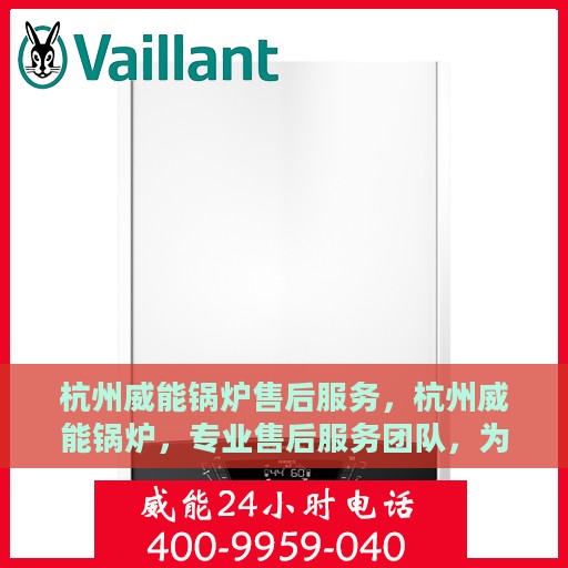 杭州威能锅炉售后服务，杭州威能锅炉，专业售后服务团队，为您的锅炉保驾护航
