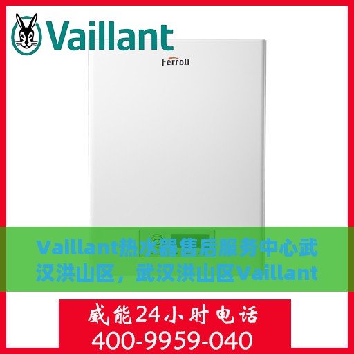 Vaillant热水器售后服务中心武汉洪山区，武汉洪山区Vaillant热水器售后服务中心专业服务团队
