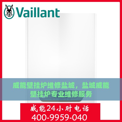 威能壁挂炉维修盐城，盐城威能壁挂炉专业维修服务