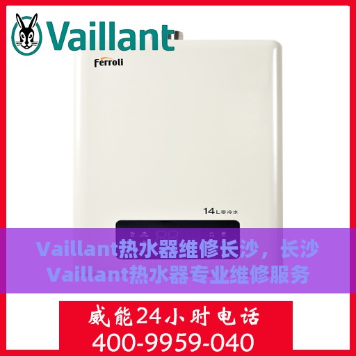 Vaillant热水器维修长沙，长沙Vaillant热水器专业维修服务