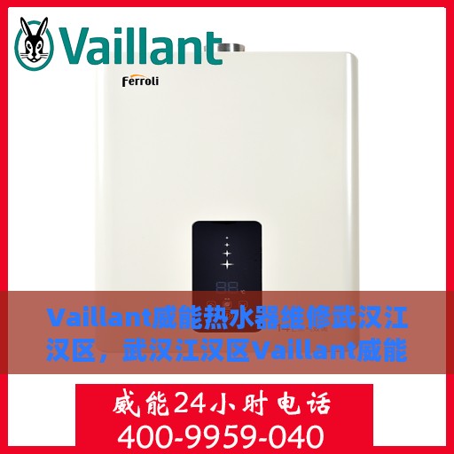 Vaillant威能热水器维修武汉江汉区，武汉江汉区Vaillant威能热水器专业维修服务