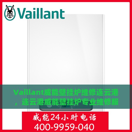 Vaillant威能壁挂炉维修连云港，连云港威能壁挂炉专业维修服务