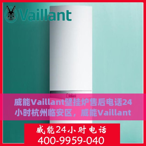 威能Vaillant壁挂炉售后电话24小时杭州临安区，威能Vaillant壁挂炉杭州临安区24小时售后热线全攻略