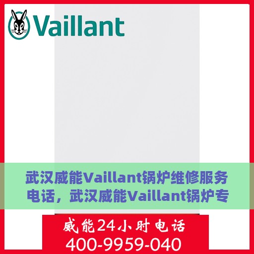 武汉威能Vaillant锅炉维修服务电话，武汉威能Vaillant锅炉专业维修服务热线