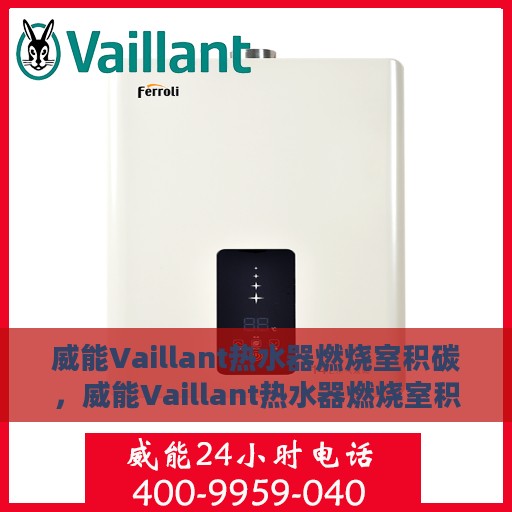 威能Vaillant热水器燃烧室积碳，威能Vaillant热水器燃烧室积碳问题解析与处理指南