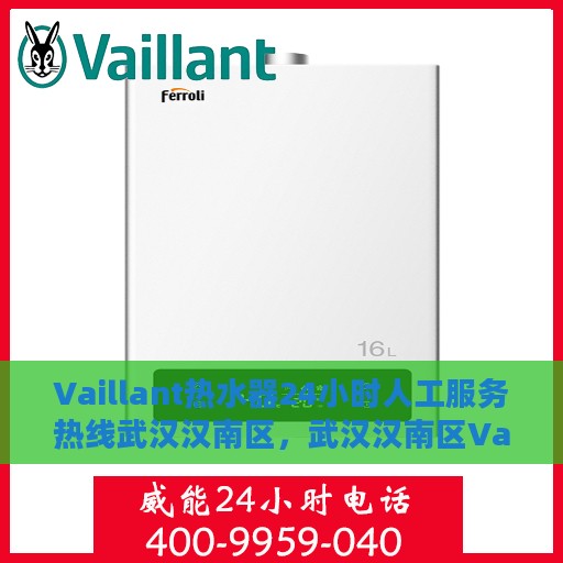 Vaillant热水器24小时人工服务热线武汉汉南区，武汉汉南区Vaillant热水器全天候人工服务热线解析
