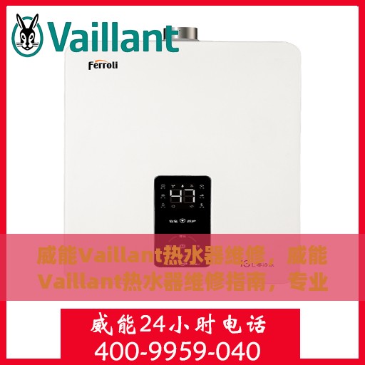 威能Vaillant热水器维修，威能Vaillant热水器维修指南，专业解决故障，保障温暖洗浴体验