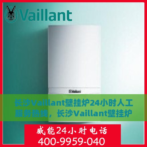 长沙Vaillant壁挂炉24小时人工服务热线，长沙Vaillant壁挂炉全天候人工服务热线，温暖无忧，专业维修支持随时在线