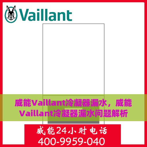 威能Vaillant冷凝器漏水，威能Vaillant冷凝器漏水问题解析
