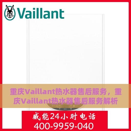 重庆Vaillant热水器售后服务，重庆Vaillant热水器售后服务解析，专业团队，贴心服务