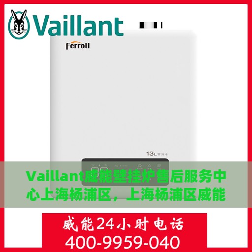 Vaillant威能壁挂炉售后服务中心上海杨浦区，上海杨浦区威能壁挂炉售后服务中心专业服务团队