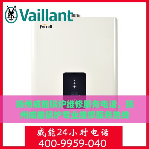 扬州威能锅炉维修服务电话，扬州威能锅炉专业维修服务热线