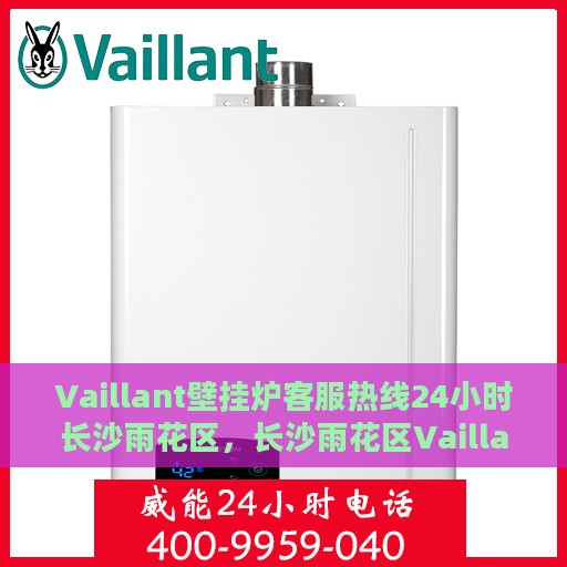 Vaillant壁挂炉客服热线24小时长沙雨花区，长沙雨花区Vaillant壁挂炉全天候客服热线，暖心服务不分昼夜