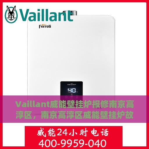 Vaillant威能壁挂炉报修南京高淳区，南京高淳区威能壁挂炉故障报修指南