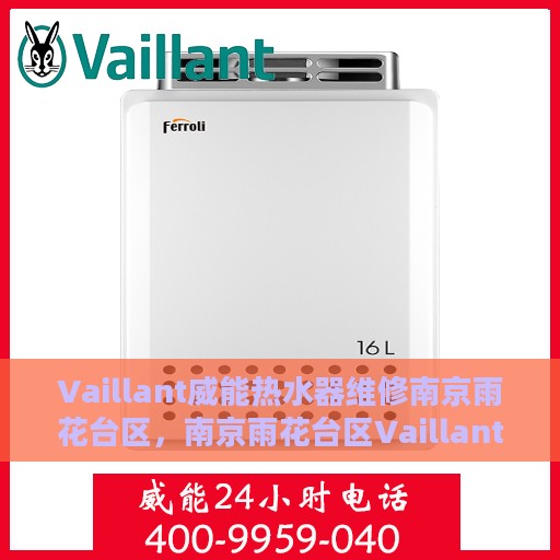 Vaillant威能热水器维修南京雨花台区，南京雨花台区Vaillant威能热水器专业维修服务