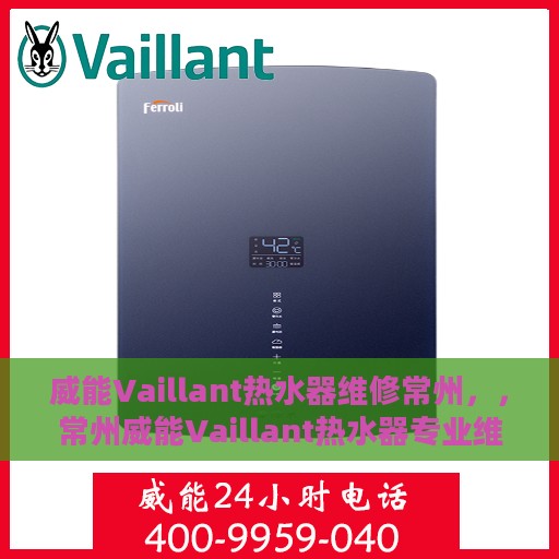 威能Vaillant热水器维修常州，，常州威能Vaillant热水器专业维修服务