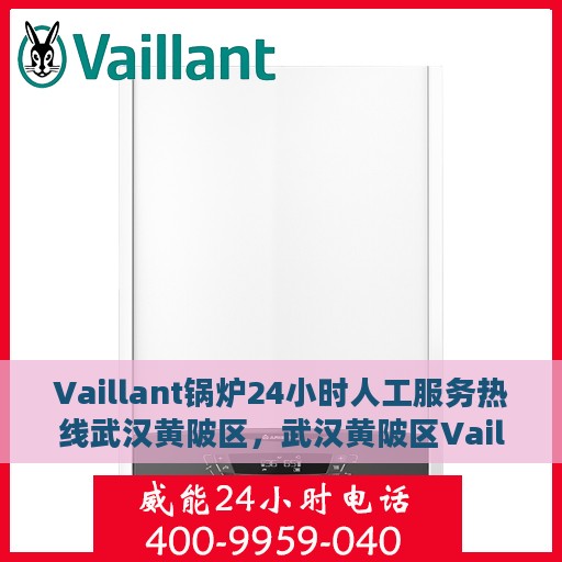 Vaillant锅炉24小时人工服务热线武汉黄陂区，武汉黄陂区Vaillant锅炉全天候人工服务热线支持