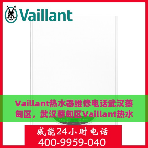 Vaillant热水器维修电话武汉蔡甸区，武汉蔡甸区Vaillant热水器专业维修电话