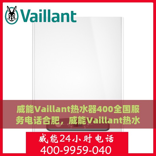 威能Vaillant热水器400全国服务电话合肥，威能Vaillant热水器全国服务热线400在合肥的专业支持与服务团队