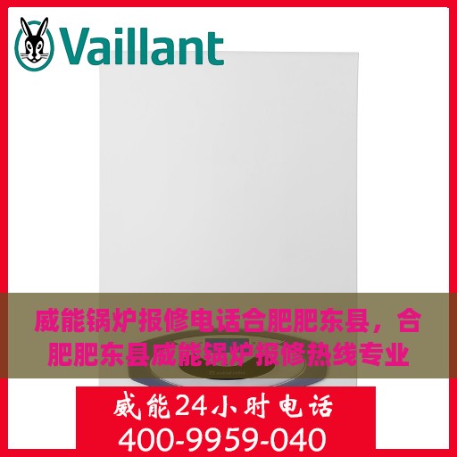 威能锅炉报修电话合肥肥东县，合肥肥东县威能锅炉报修热线专业服务团队