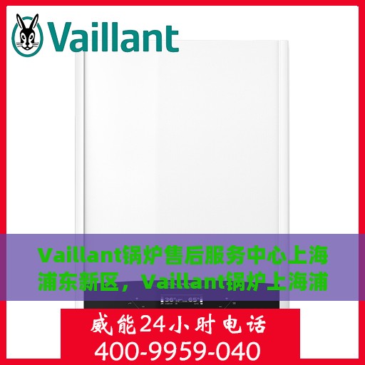 Vaillant锅炉售后服务中心上海浦东新区，Vaillant锅炉上海浦东新区售后服务中心，专业维修与优质服务