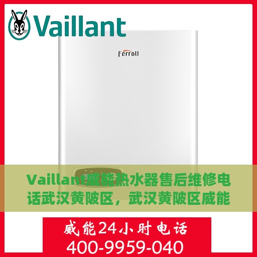 Vaillant威能热水器售后维修电话武汉黄陂区，武汉黄陂区威能热水器售后维修服务热线与解决方案