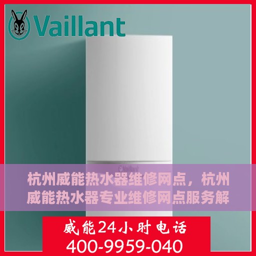 杭州威能热水器维修网点，杭州威能热水器专业维修网点服务解析
