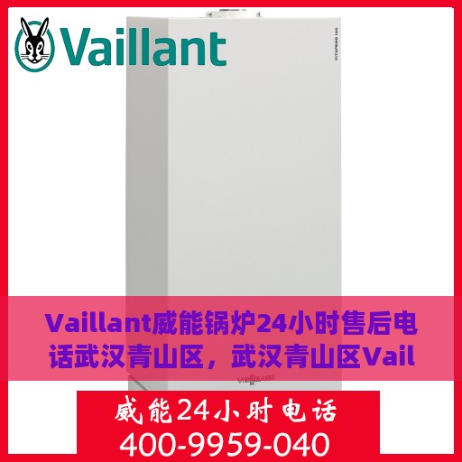 Vaillant威能锅炉24小时售后电话武汉青山区，武汉青山区Vaillant威能锅炉全天候售后电话服务支持