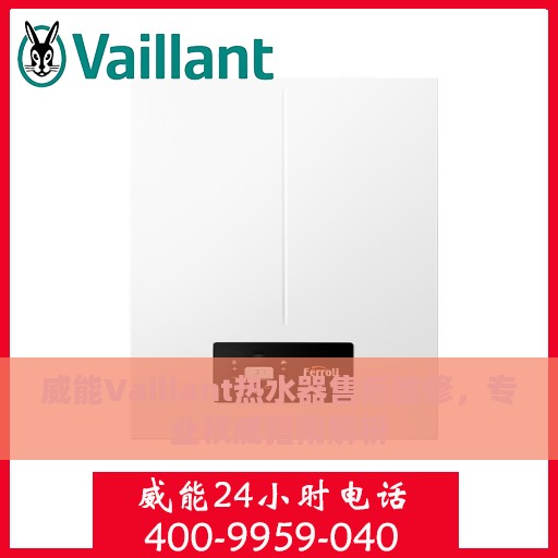 威能Vaillant热水器售后维修，专业权威指南解析