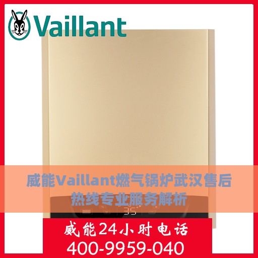 威能Vaillant燃气锅炉武汉售后热线专业服务解析