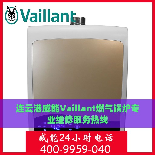 连云港威能Vaillant燃气锅炉专业维修服务热线