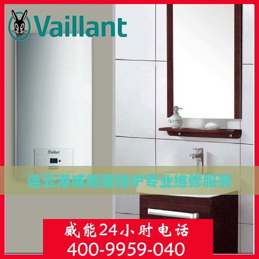 连云港威能壁挂炉专业维修服务