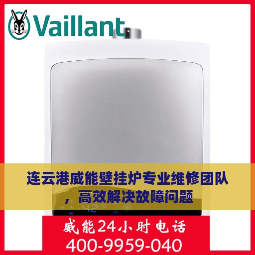 连云港威能壁挂炉专业维修团队，高效解决故障问题