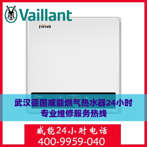 武汉德国威能燃气热水器24小时专业维修服务热线