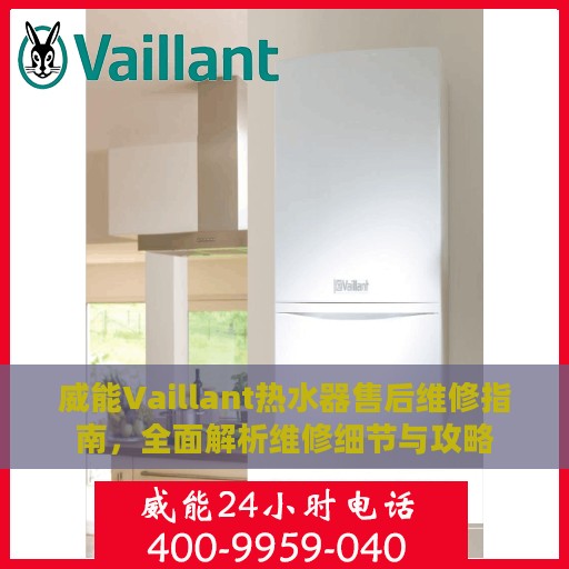 威能Vaillant热水器售后维修指南，全面解析维修细节与攻略