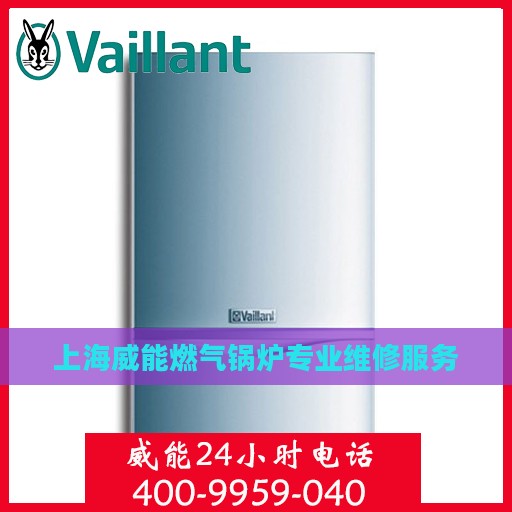 上海威能燃气锅炉专业维修服务