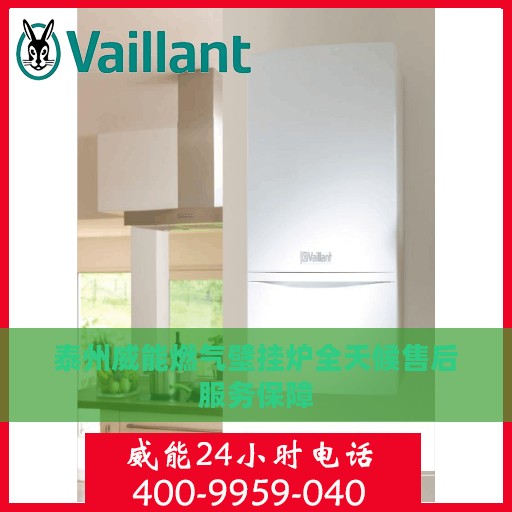 泰州威能燃气壁挂炉全天候售后服务保障